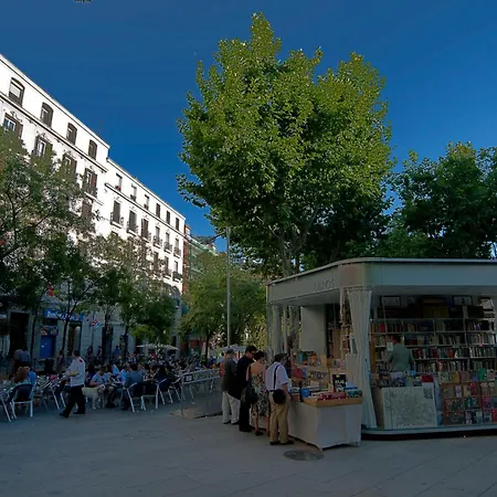 Gran Versalles-2